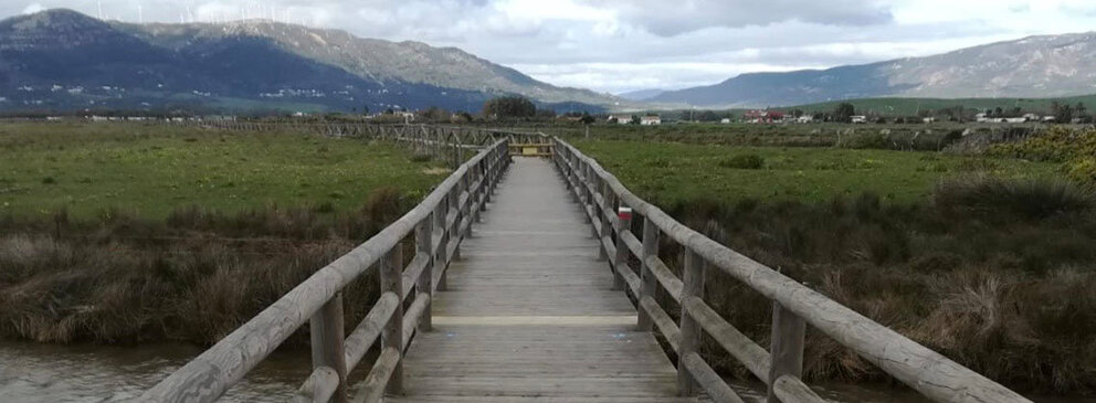 Puente del Sendero Los Lances WEB