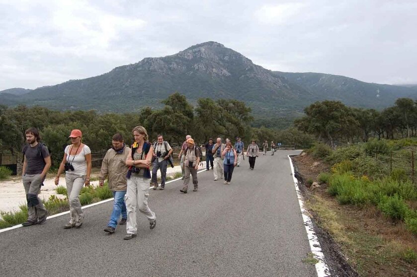 Una de las actividades del Tarifa Wildlife Festival